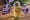 PIDAL_Thyme_Oil_Massage_Wellness_AS_175275768_2048px
