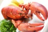 PIDAL_Homard_AS_898624_2048px