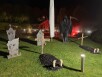 2025 Sauna Halloween Night @ PIDAL (2)