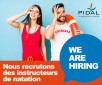 We are hiring PIDAL