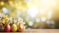 AdobeStock_696194517