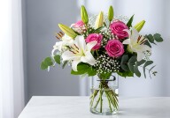 AdobeStock_1857184596